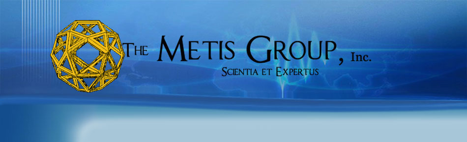 The Metis Group, Inc.